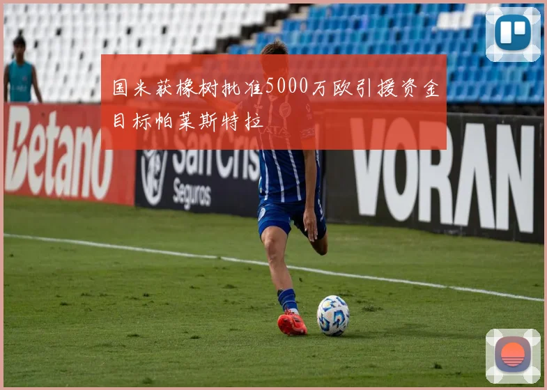 国米获橡树批准5000万欧引援资金目标帕莱斯特拉